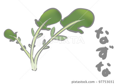 七草菜菜 97753031