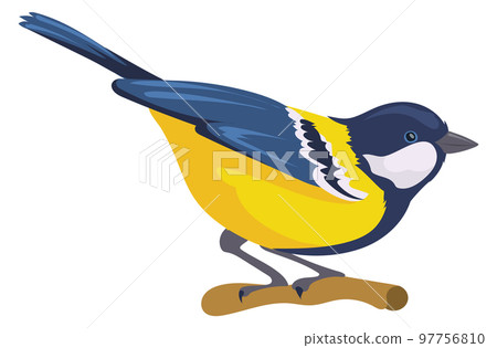 Tit sit on branch. Colorful wild bird icon Tit sit on branch. Colorful wild bird icon 97756810