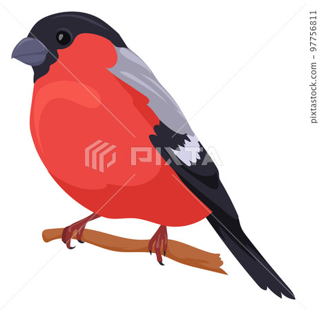 Bullfinch icon. Red winter bird. Wildlife symbol Bullfinch icon. Red winter bird. Wildlife symbol 97756811