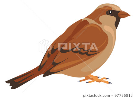 Wild sparrow icon. Forest bird. Nature symbol Wild sparrow icon. Forest bird. Nature symbol 97756813