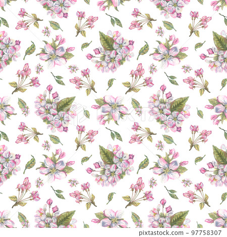 Pink flowers and inflorescences, apple blossom buds with leaves on a white background. Seamless pattern. Watercolor illustration. For decoration and design of spring and summer prints. 97758307