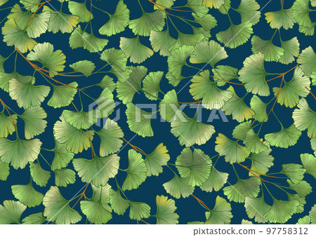 Ginkgo biloba leaves. Seamless pattern, background. 97758312
