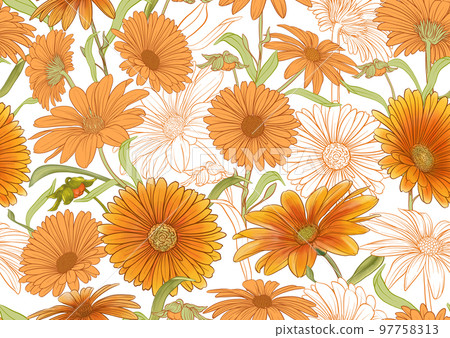 Calendula medicinal herbs and flowers. Calendula medicinal herbs and flowers. 97758313