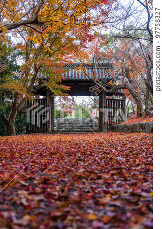 [Tokushima Prefecture] Autumn leaves at Jorokuji Temple 97758327
