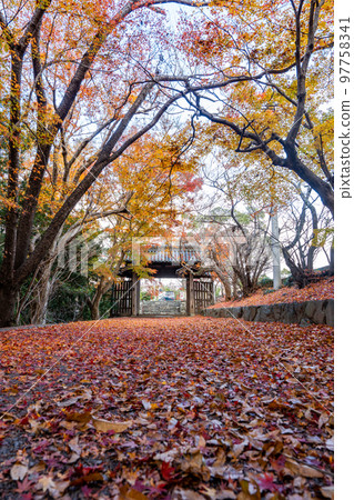 [Tokushima Prefecture] Autumn leaves at Jorokuji Temple 97758341