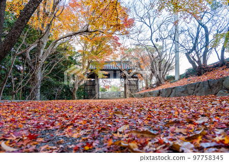 [Tokushima Prefecture] Autumn leaves at Jorokuji Temple 97758345