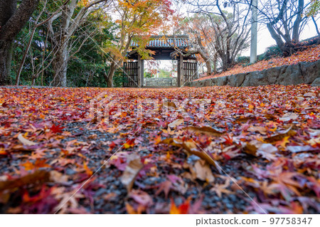 [Tokushima Prefecture] Autumn leaves at Jorokuji Temple 97758347