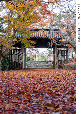 [Tokushima Prefecture] Autumn leaves at Jorokuji Temple 97758351