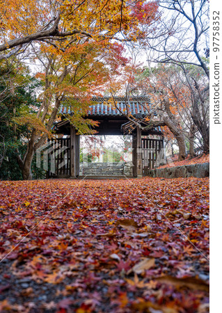 [Tokushima Prefecture] Autumn leaves at Jorokuji Temple 97758352