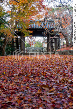 [Tokushima Prefecture] Autumn leaves at Jorokuji Temple 97758357