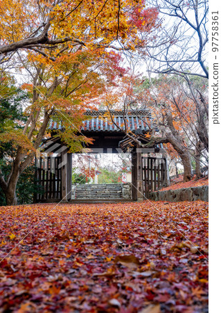 [Tokushima Prefecture] Autumn leaves at Jorokuji Temple 97758361