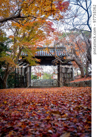 [Tokushima Prefecture] Autumn leaves at Jorokuji Temple 97758362