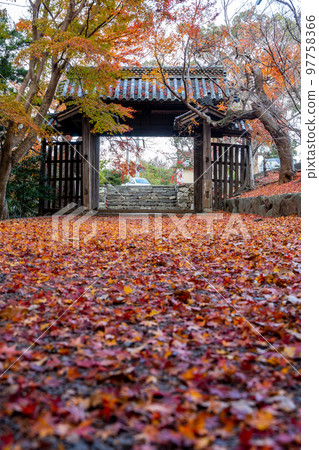 [Tokushima Prefecture] Autumn leaves at Jorokuji Temple 97758366