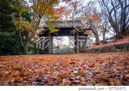 [Tokushima Prefecture] Autumn leaves at Jorokuji Temple 97758371