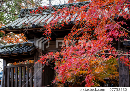 [Tokushima Prefecture] Autumn leaves at Jorokuji Temple 97758380