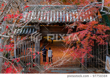 [德島縣]淨六寺的紅葉 97758384