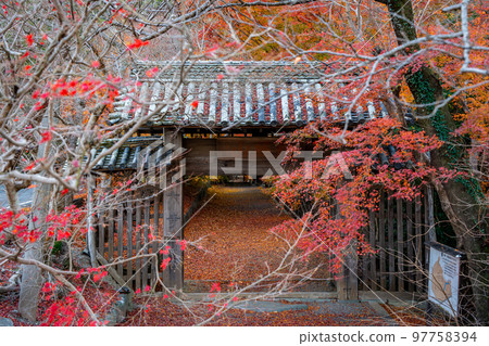 [Tokushima Prefecture] Autumn leaves at Jorokuji Temple 97758394