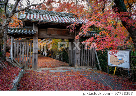 [Tokushima Prefecture] Autumn leaves at Jorokuji Temple 97758397