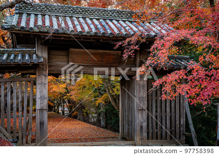 [Tokushima Prefecture] Autumn leaves at Jorokuji Temple 97758398