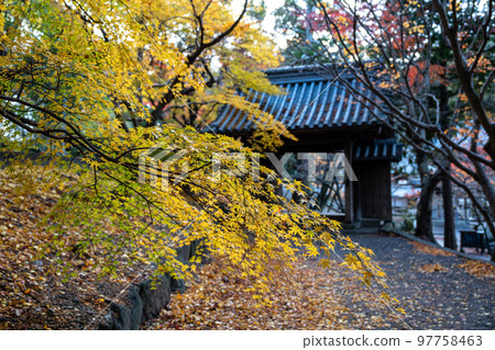 [Tokushima Prefecture] Autumn leaves at Jorokuji Temple 97758463