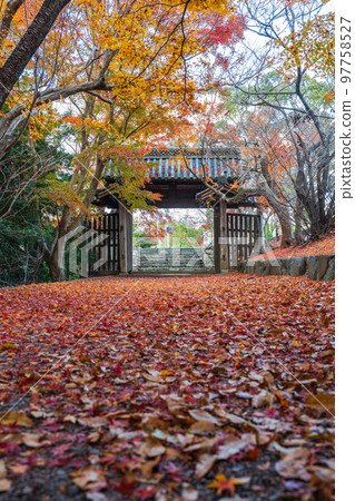 [Tokushima Prefecture] Autumn leaves at Jorokuji Temple 97758527