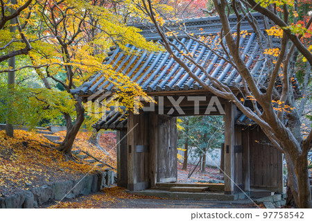 [Tokushima Prefecture] Autumn leaves at Jorokuji Temple 97758542