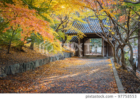 [Tokushima Prefecture] Autumn leaves at Jorokuji Temple 97758553