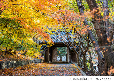 [Tokushima Prefecture] Autumn leaves at Jorokuji Temple 97758568