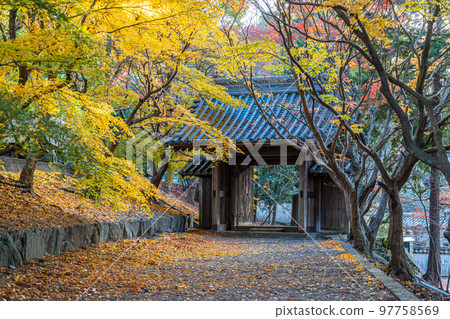 [德島縣]淨六寺的紅葉 97758569