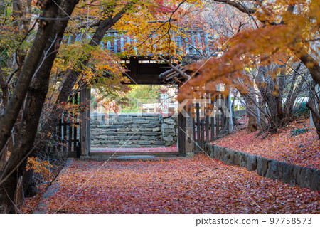 [Tokushima Prefecture] Autumn leaves at Jorokuji Temple 97758573