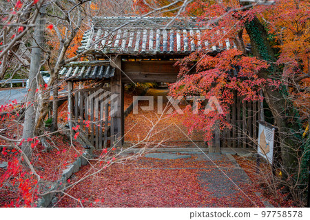 [德島縣]淨六寺的紅葉 97758578
