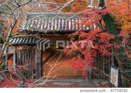 [Tokushima Prefecture] Autumn leaves at Jorokuji Temple 97758592