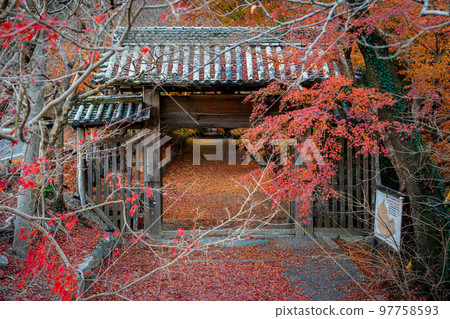 [Tokushima Prefecture] Autumn leaves at Jorokuji Temple 97758593