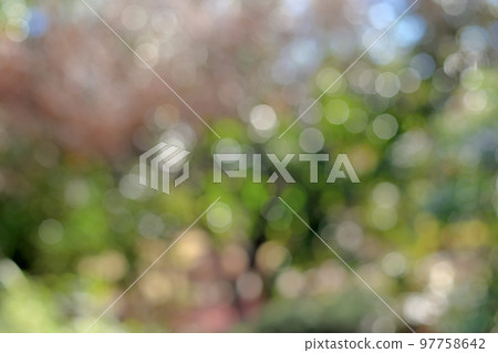 只是一張圓形散景照片 97758642