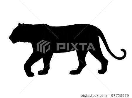 Silhouette illustration of a walking tiger Silhouette illustration of a walking tiger 97758979