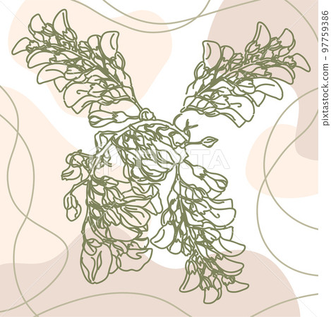 Floral Linear Illustration in Green Neutral Colors Floral Linear Illustration in Green Neutral Colors 97759386