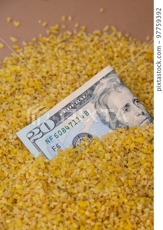 US Dollar bill paper money currency banknote in buckwheat porridge. The crisis in the market of grain crops, the rise in prices or production volumes of buckwheat Food and groceries shopping price US Dollar bill paper money currency banknote in buckwheat porridge. The crisis in the market of grain crops, the rise in prices or production volumes of buckwheat Food and groceries shopping price 97759392