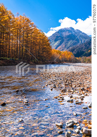 《Nagano Prefecture》 Autumn Kamikochi, the peak of autumn colors 97760379