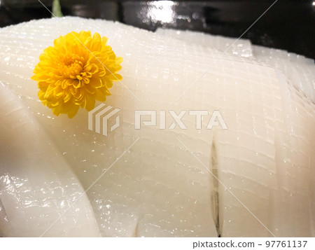 Squid sashimi Squid sashimi 97761137