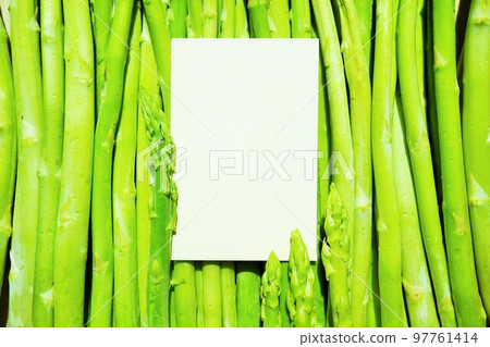 背景為綠蘆筍的留言卡模型 97761414
