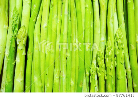 Green asparagus spread all over Green asparagus spread all over 97761415