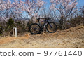 Etajima Shindoyama Senbonzakura 97761440