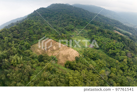 The biggest cause of forest loss is agricultural deforestation ,environmental damage in Southeast Asia , global warming and environment. The biggest cause of forest loss is agricultural deforestation ,environmental damage in Southeast Asia , global warming and environment. 97761541