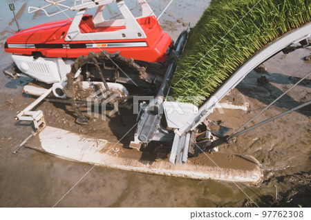 水稻種植 水稻插秧機 水稻 97762308