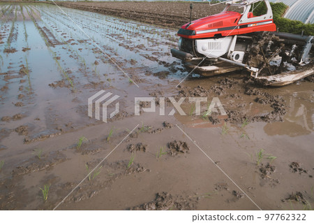 rice planting, rice transplanter, paddy 97762322