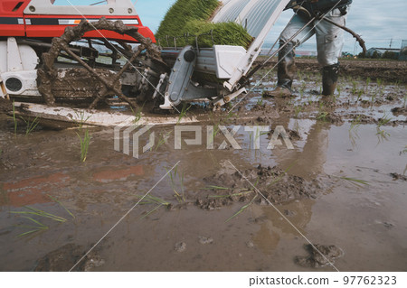 水稻種植 水稻插秧機 水稻 97762323