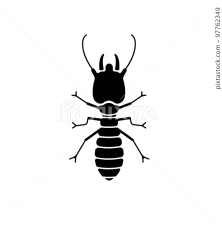 Termite / termite vector icon illustration Termite / termite vector icon illustration 97762349