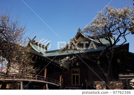 The plum blossoms are white, and the Yushima Tenjin Plum Blossom Festival is blessed with fine weather. 97762386