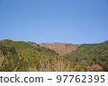 Forested mountain and clear blue sky 97762395
