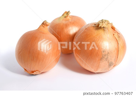 Onion (Tenshin Onion) 97763407